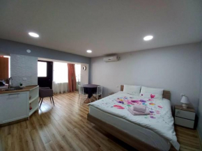 Cozy Studio Apartment on Rustaveli